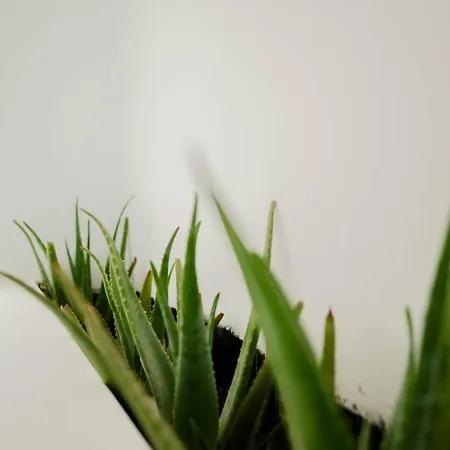 Cubic Mykonos Seafront Design