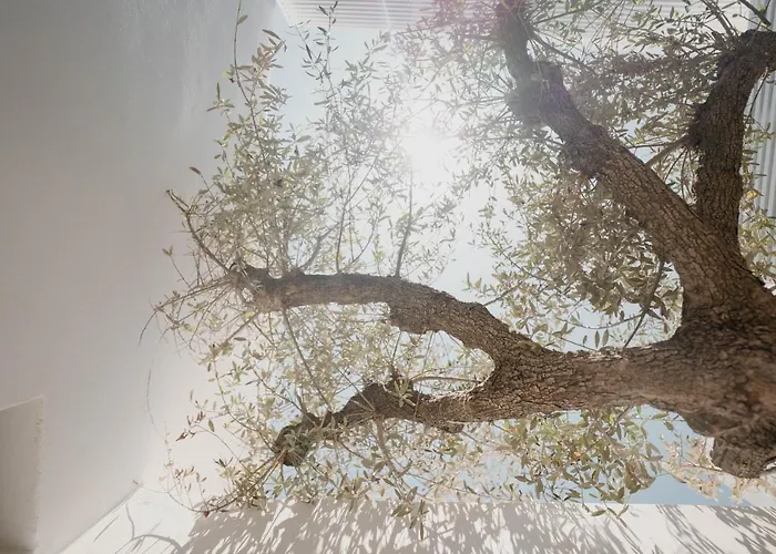 فندق Cubic Mykonos Seafront Design