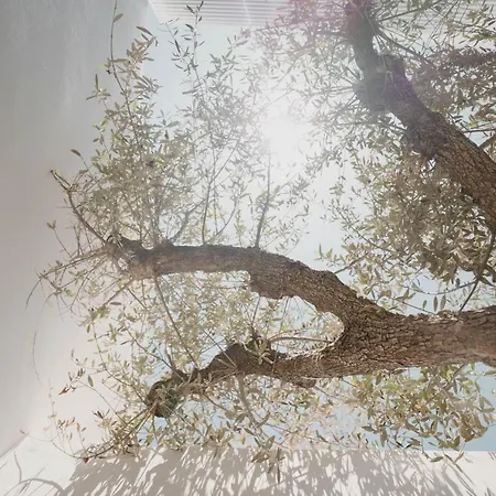 호텔 Cubic Mykonos Seafront Design